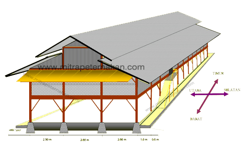 Detail Sketsa Gambar Kandang Ayam Petelur Nomer 40