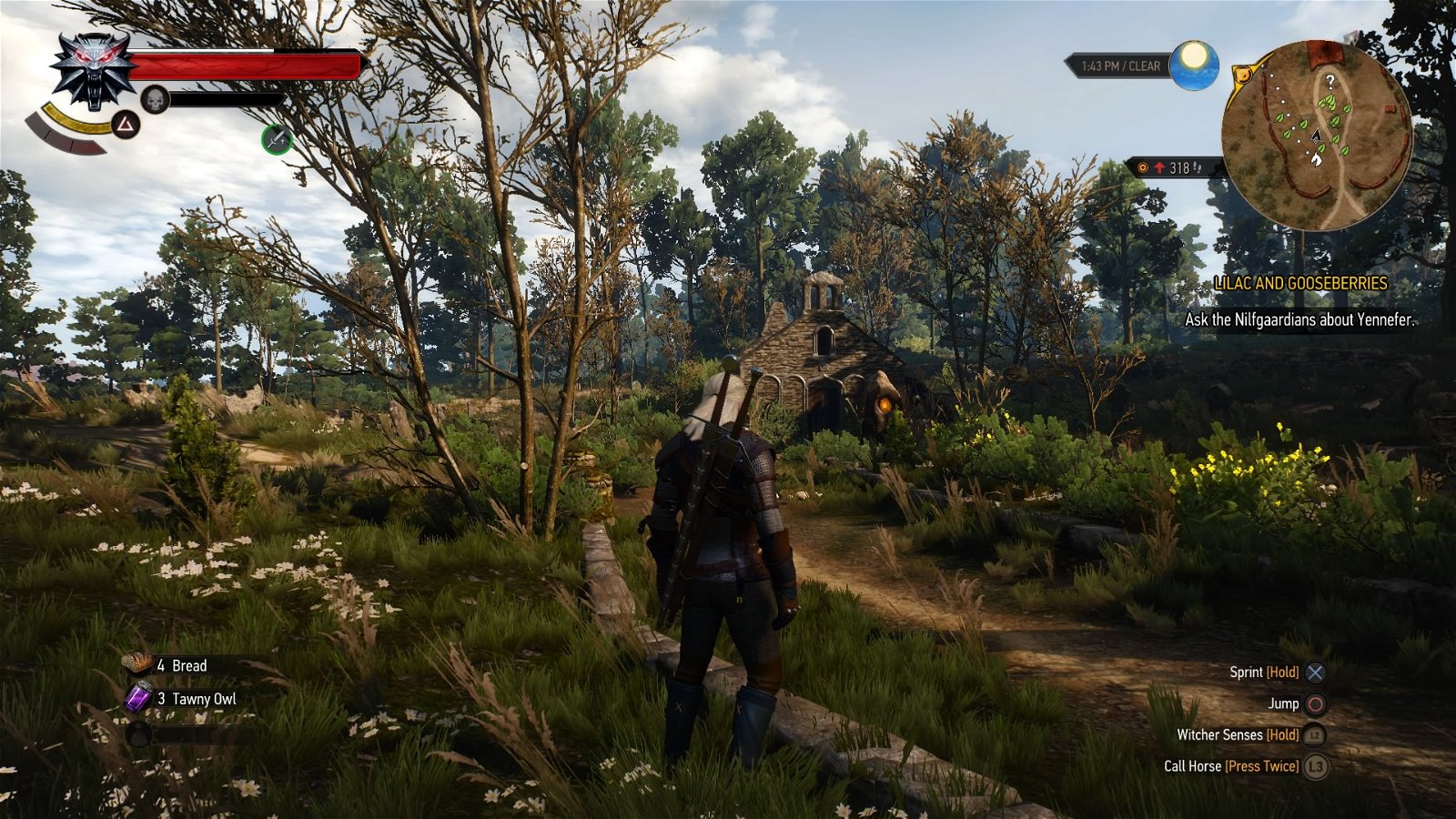 Detail Where To Get Emerald Dust Witcher 3 Nomer 26