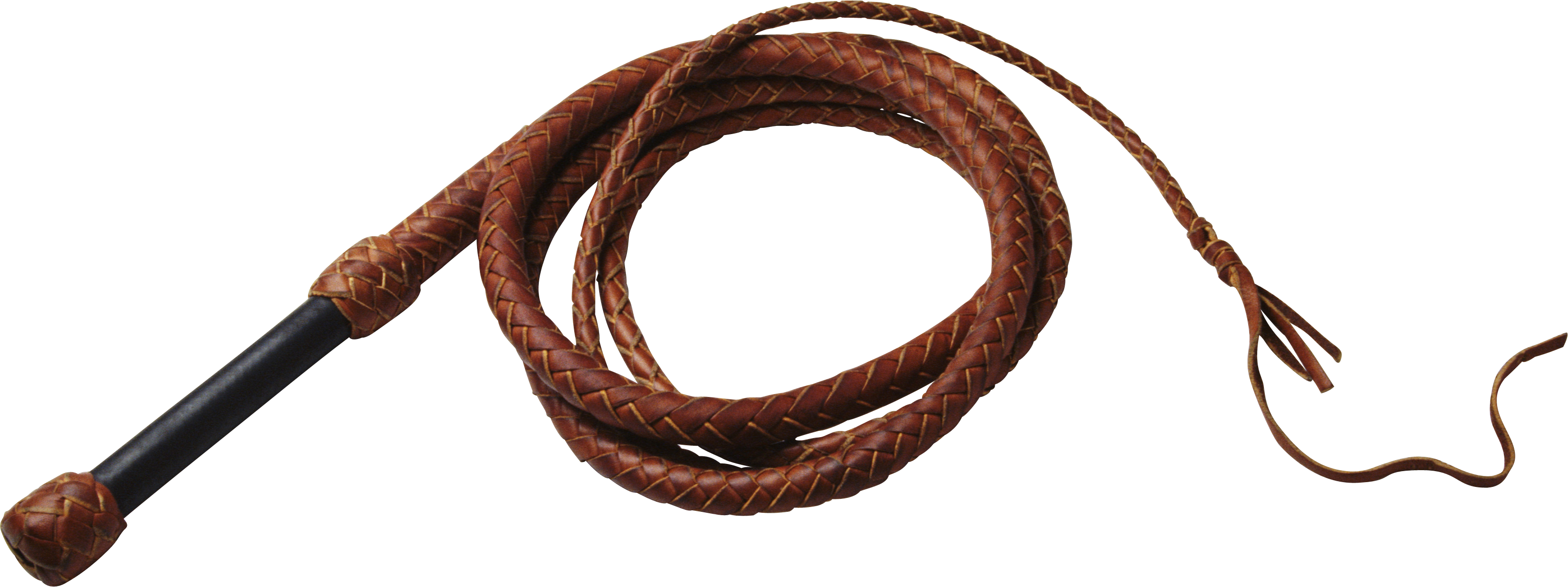 Detail Whip Png Nomer 2