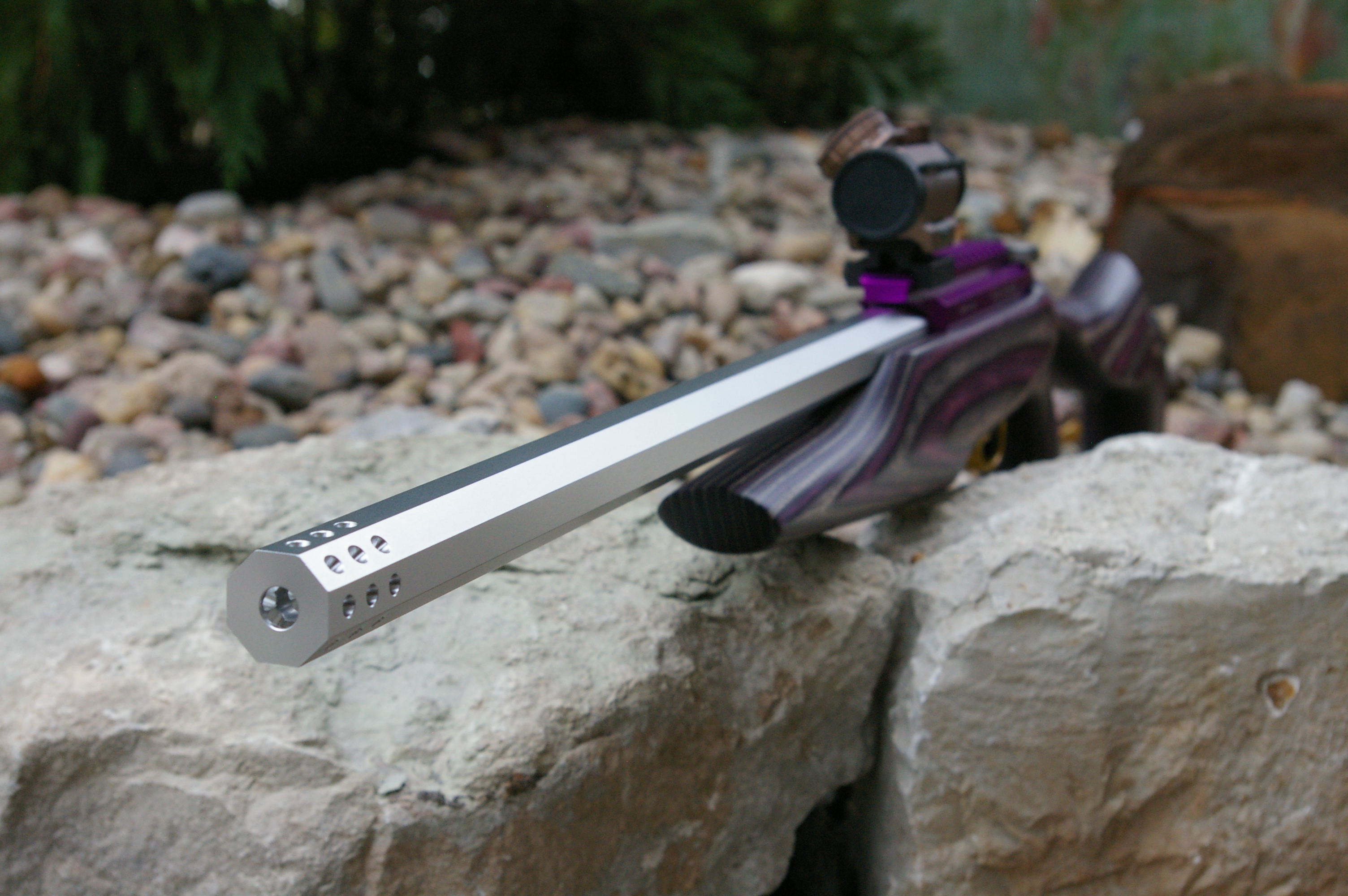 Detail Whistle Pig Rifle Nomer 8