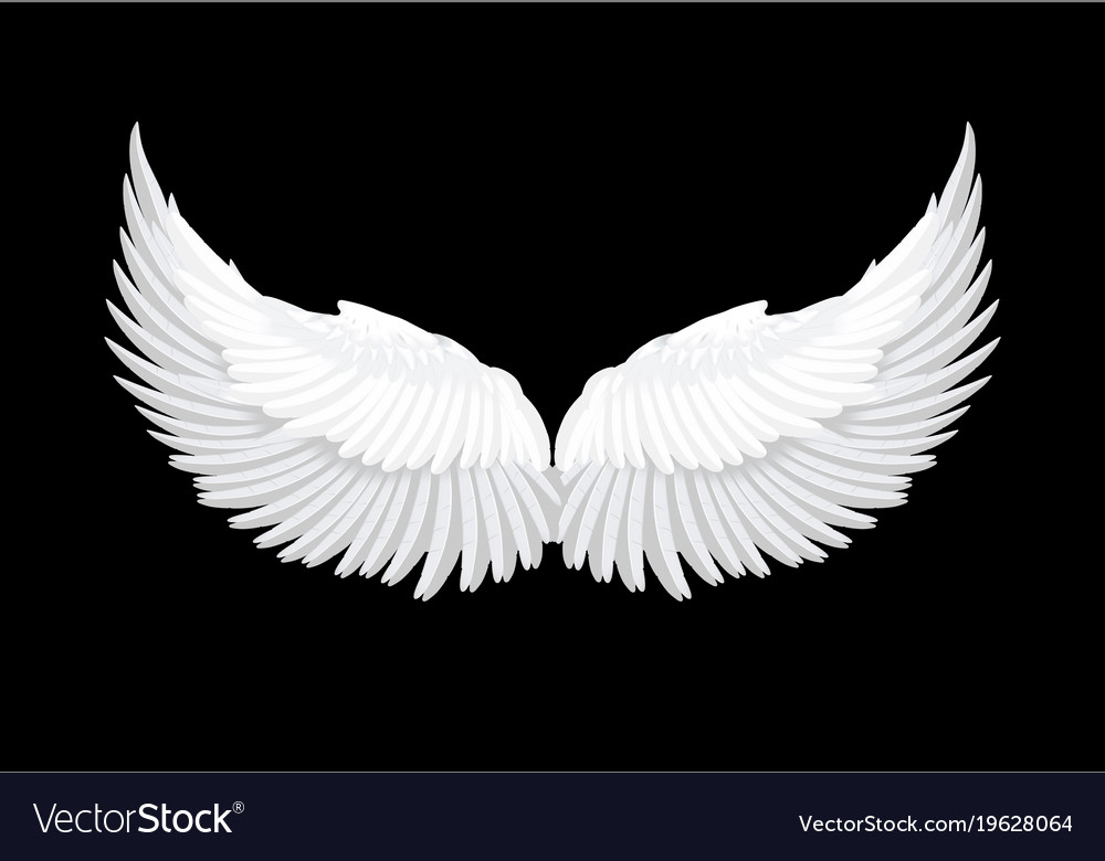 Detail White Angel Wings Background Nomer 27