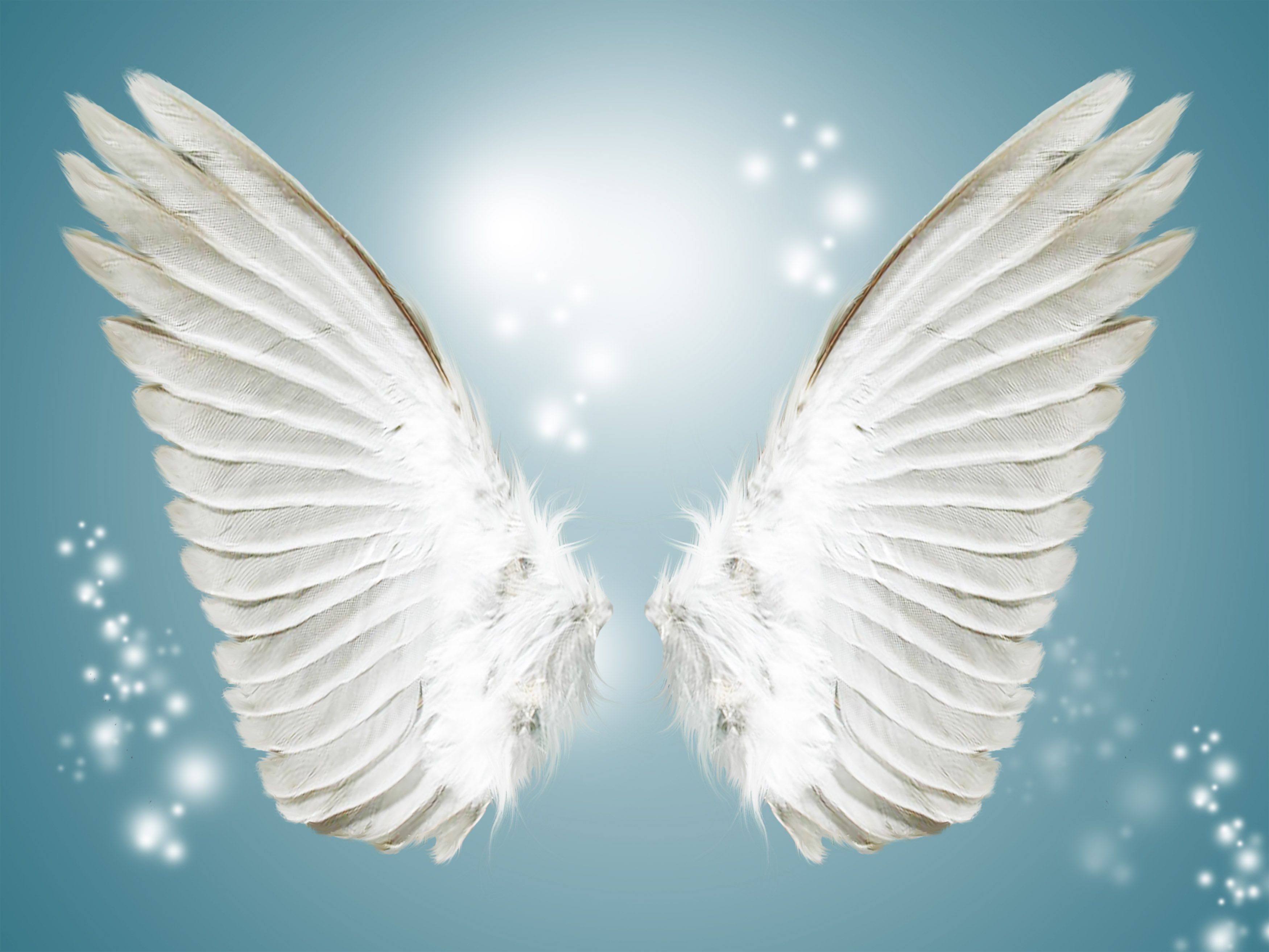 Detail White Angel Wings Background Nomer 29