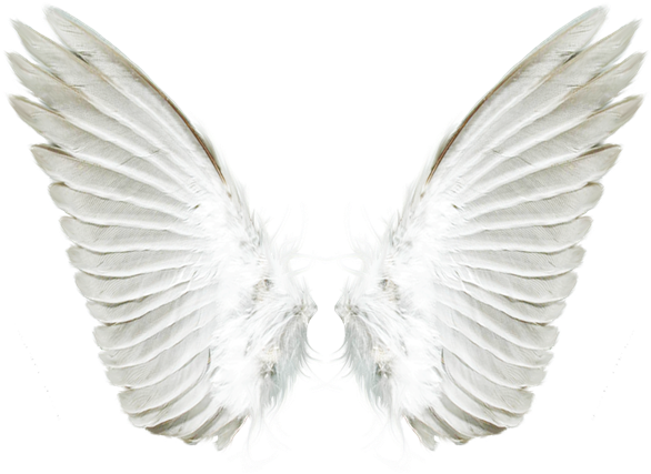 Detail White Angel Wings Background Nomer 32