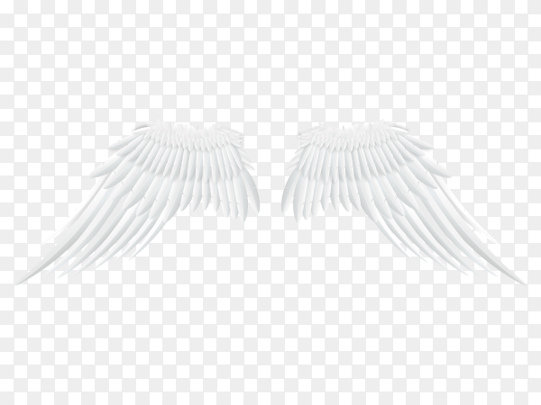 Detail White Angel Wings Background Nomer 39
