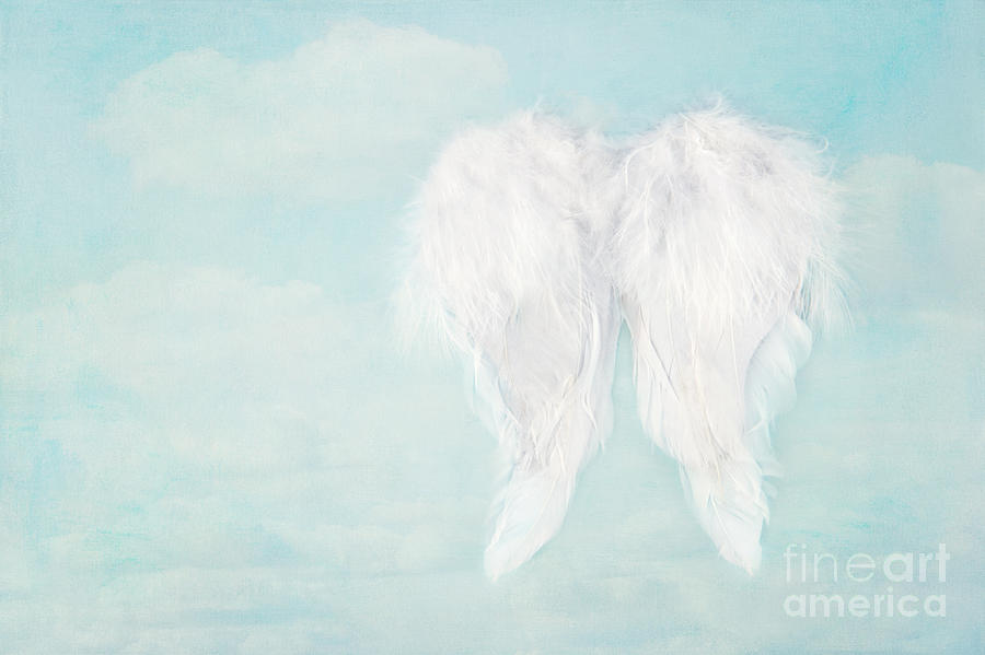 Detail White Angel Wings Background Nomer 8