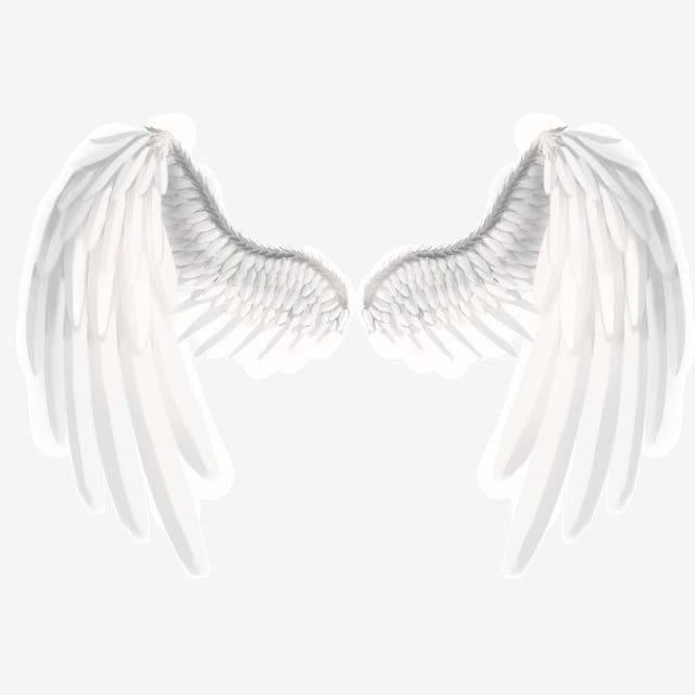 Detail White Angel Wings Transparent Nomer 13