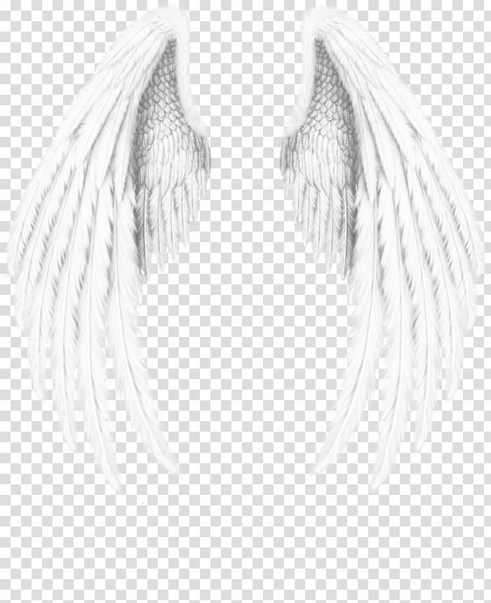 Detail White Angel Wings Transparent Nomer 21