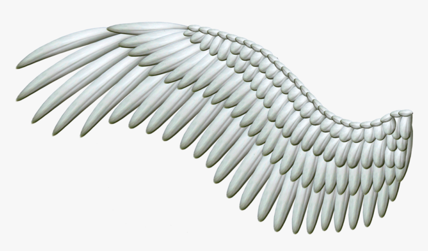 Detail White Angel Wings Transparent Nomer 38