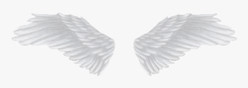 Detail White Angel Wings Transparent Nomer 4
