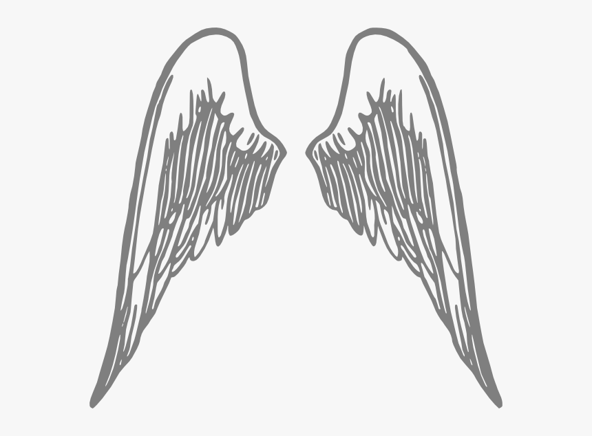 Detail White Angel Wings Transparent Nomer 44