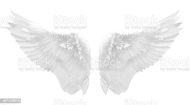 Detail White Angel Wings Transparent Nomer 47