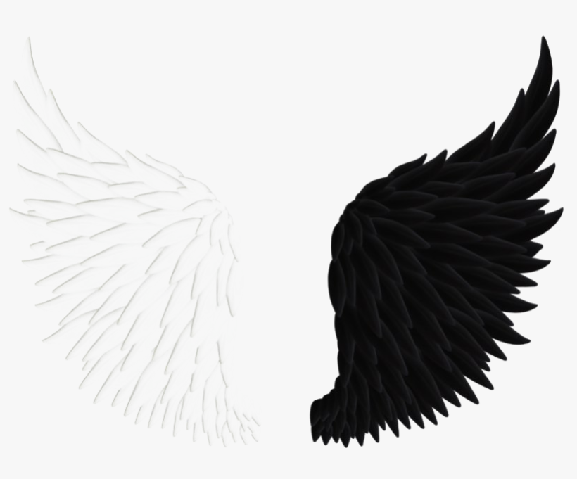 Detail White Angel Wings Transparent Nomer 48
