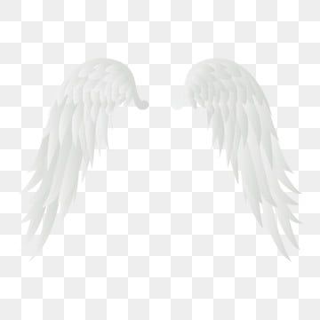 Detail White Angel Wings Transparent Nomer 50