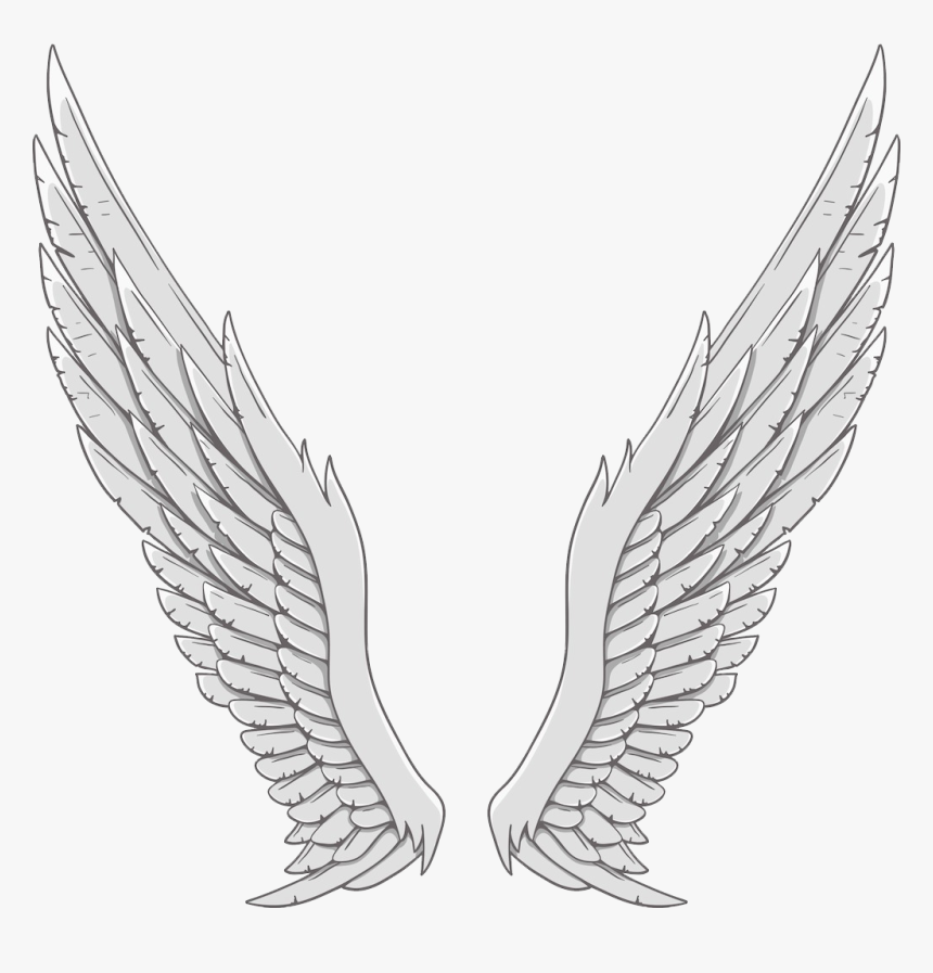 Detail White Angel Wings Transparent Nomer 53