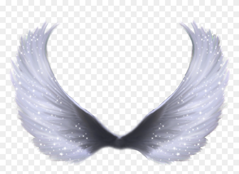 Detail White Angel Wings Transparent Nomer 54