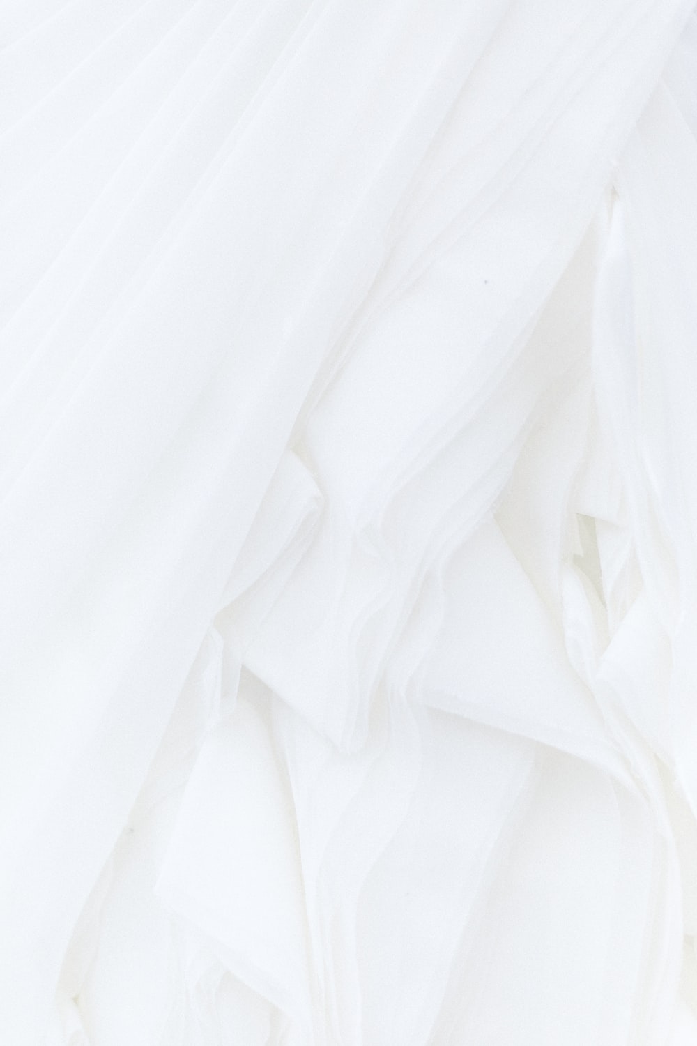 Detail White Background Images Nomer 4
