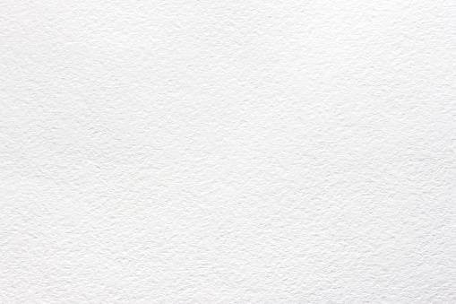 Detail White Background Images Free Nomer 39