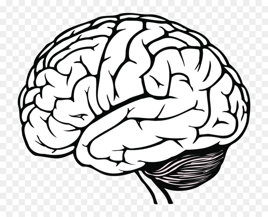 Detail White Brain Png Nomer 13