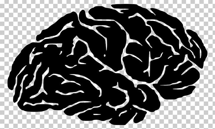 Detail White Brain Png Nomer 33