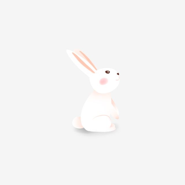 Detail White Bunny Png Nomer 51