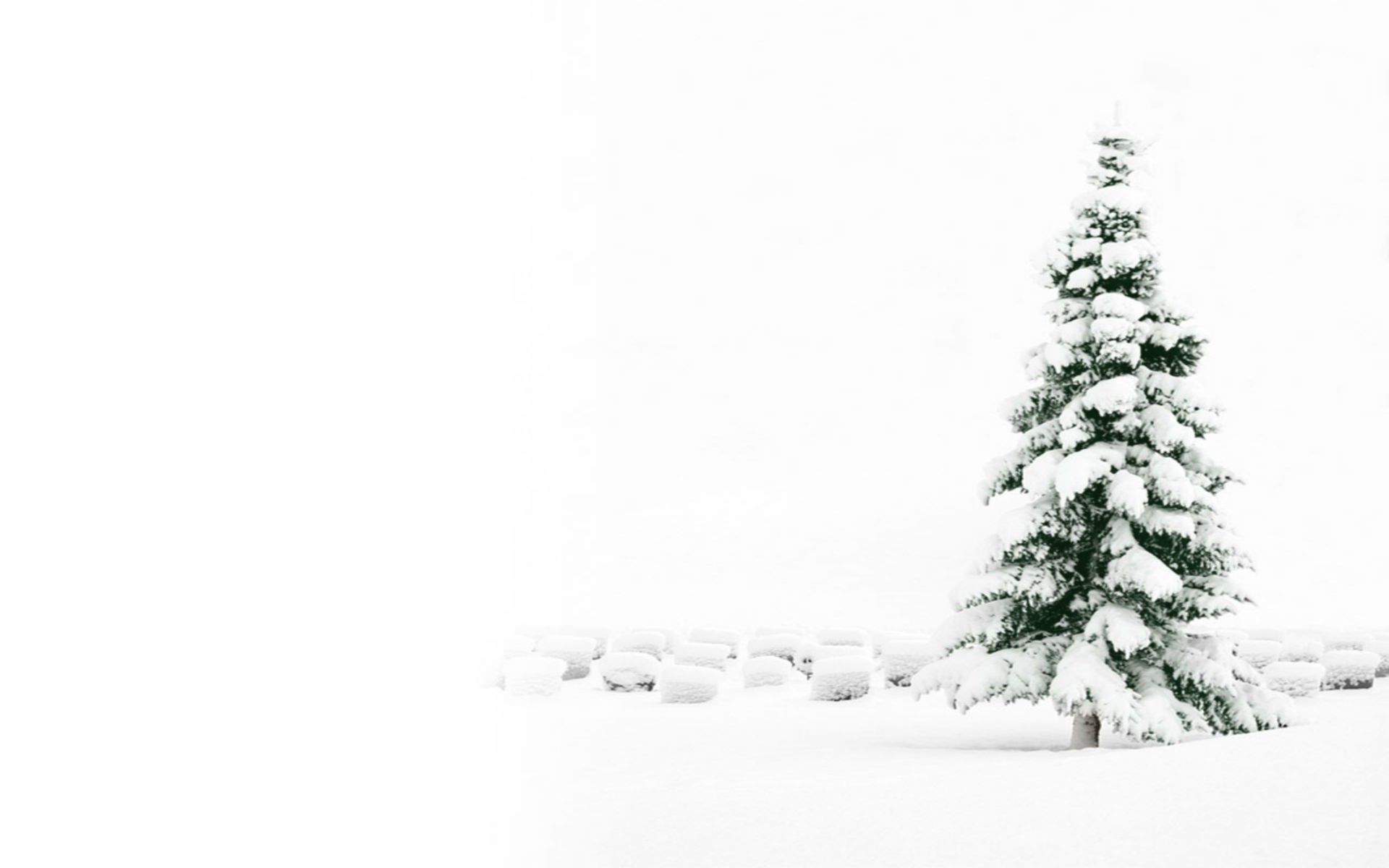 Detail White Christmas Background Hd Nomer 9