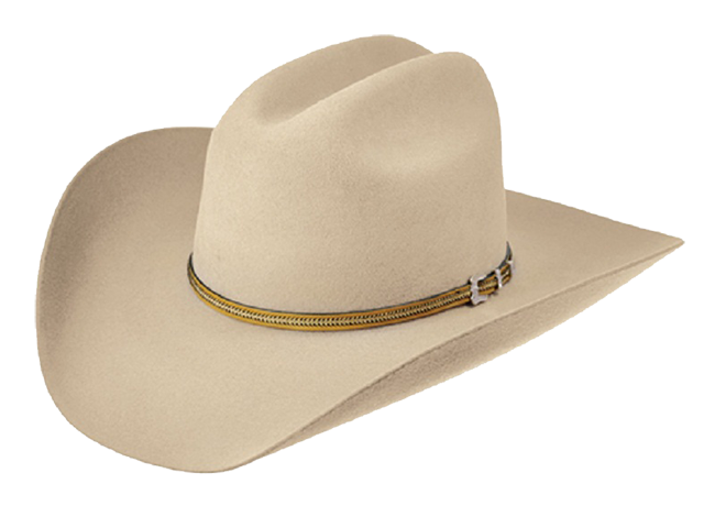 Detail White Cowboy Hat Png Nomer 16