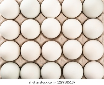 Detail White Egg Images Nomer 27