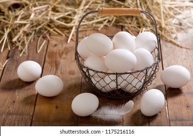 Detail White Egg Images Nomer 51
