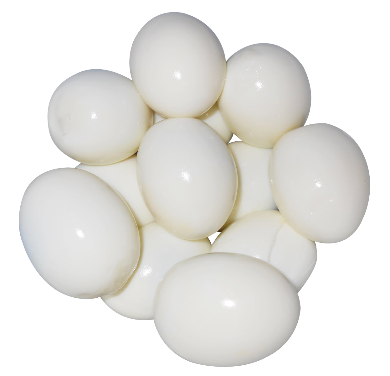 Detail White Egg Png Nomer 13