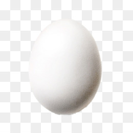 Detail White Egg Png Nomer 14