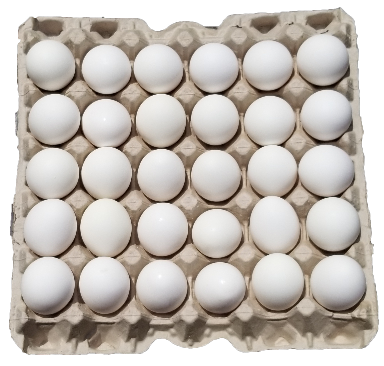Detail White Egg Png Nomer 42