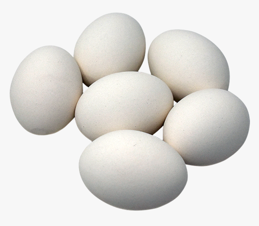 Detail White Egg Png Nomer 7