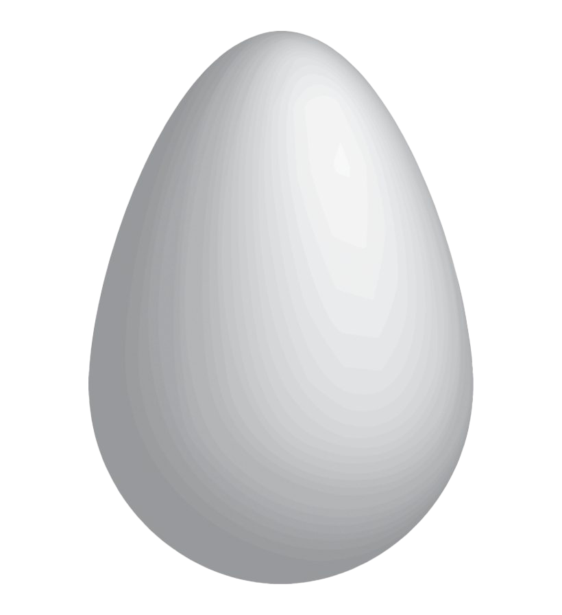 Detail White Egg Png Nomer 10