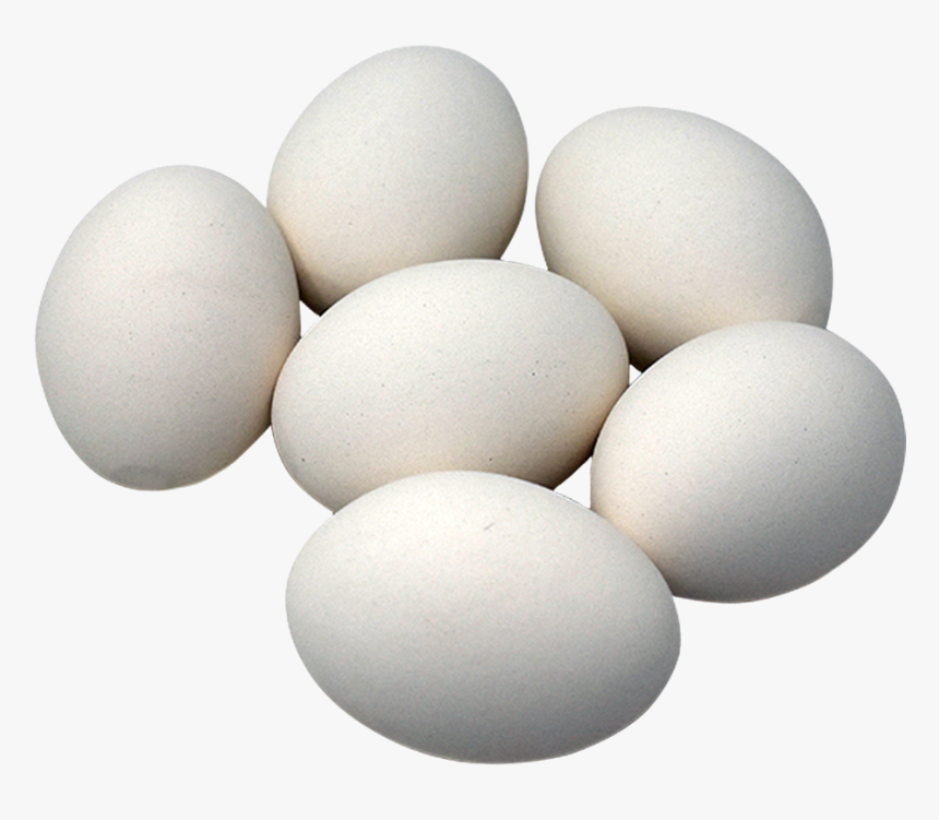 White Eggs Png - KibrisPDR