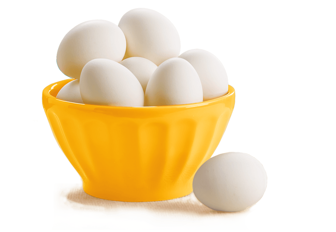 Detail White Eggs Png Nomer 22