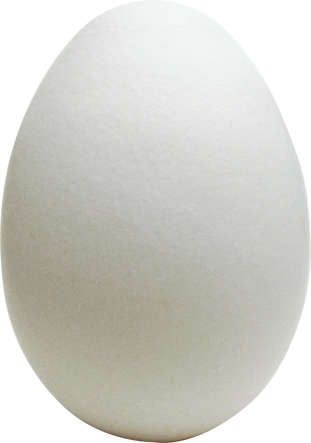 Detail White Eggs Png Nomer 25