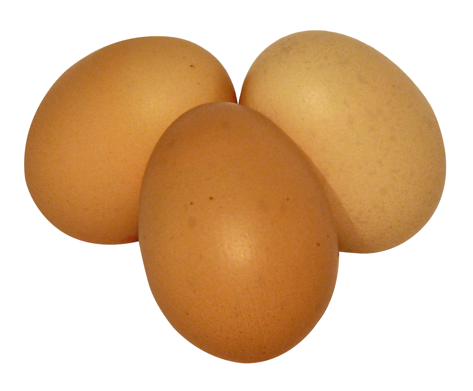 Detail White Eggs Png Nomer 55