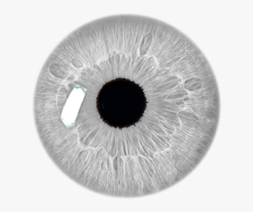 Detail White Eyes Png Nomer 5