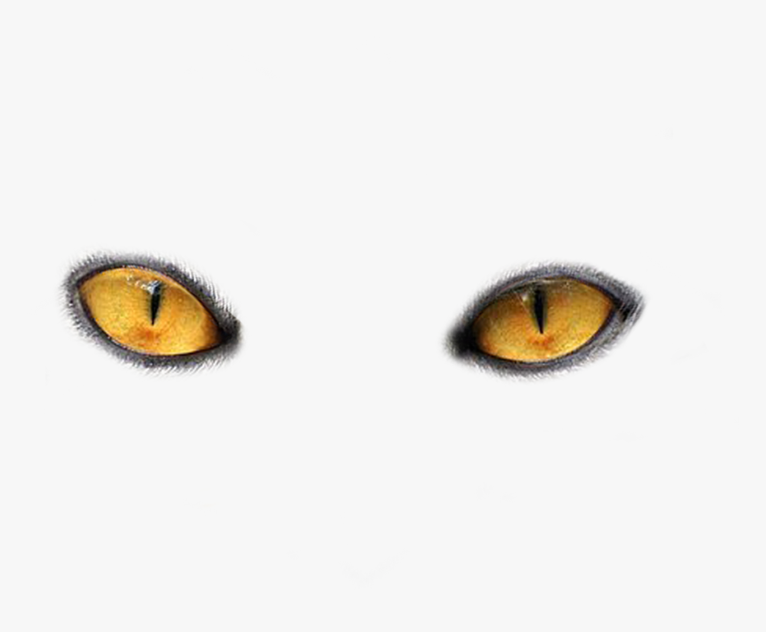 Detail White Eyes Png Nomer 47