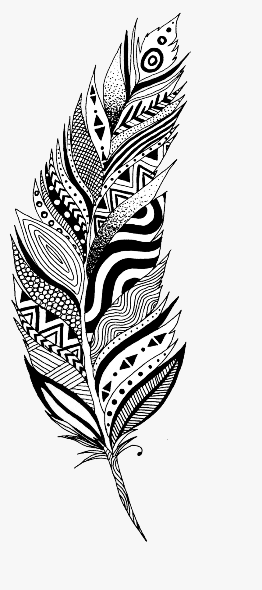 Detail White Feather Png Nomer 35