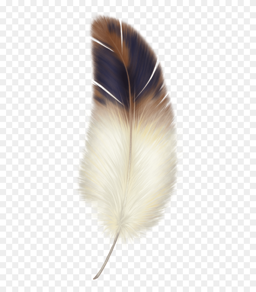 Detail White Feather Png Nomer 39