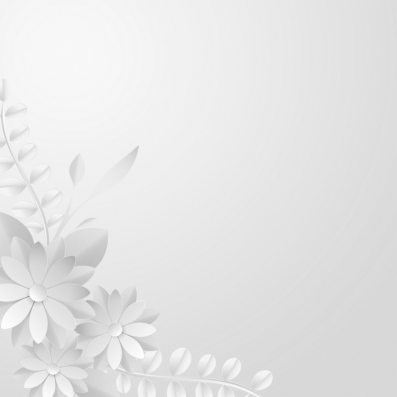 Detail White Flower Background Nomer 12