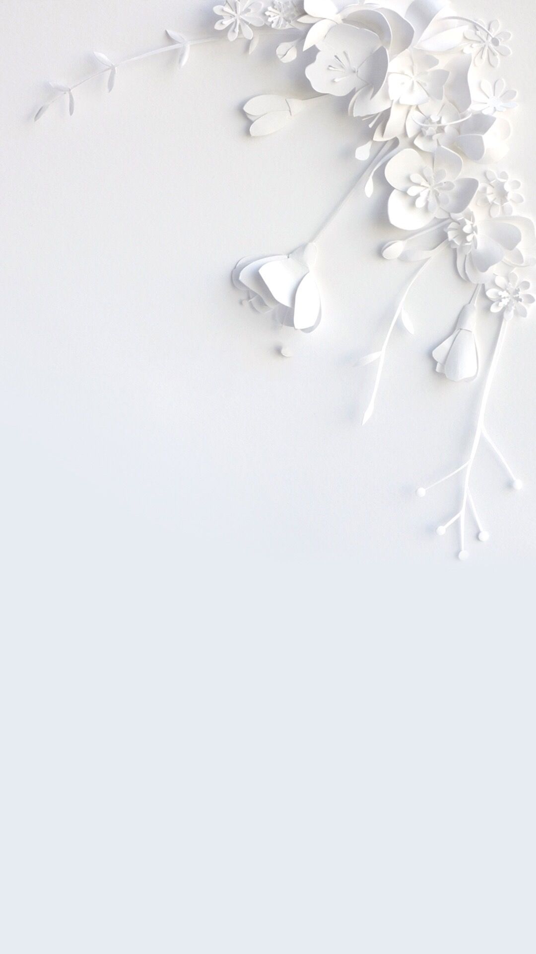 Detail White Flower Background Nomer 18