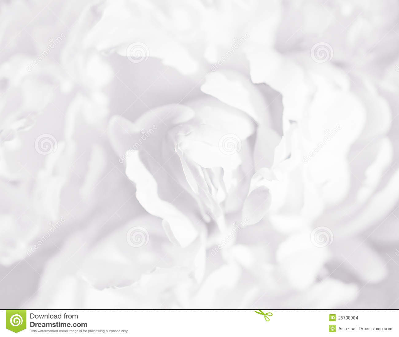 Detail White Flower Background Nomer 42