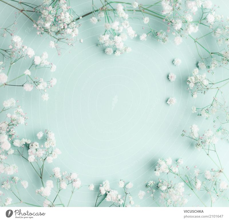 Detail White Flower Background Nomer 45