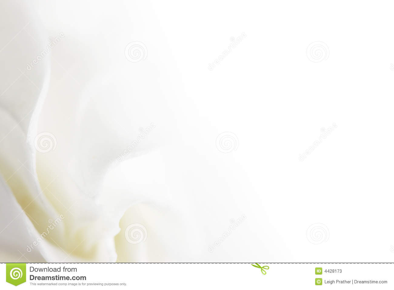 Detail White Flower Background Nomer 50