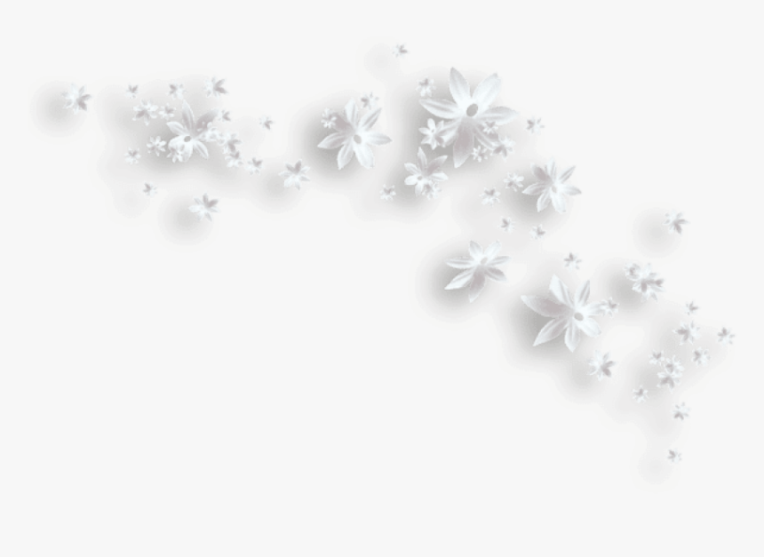 Detail White Flowers Png Nomer 24