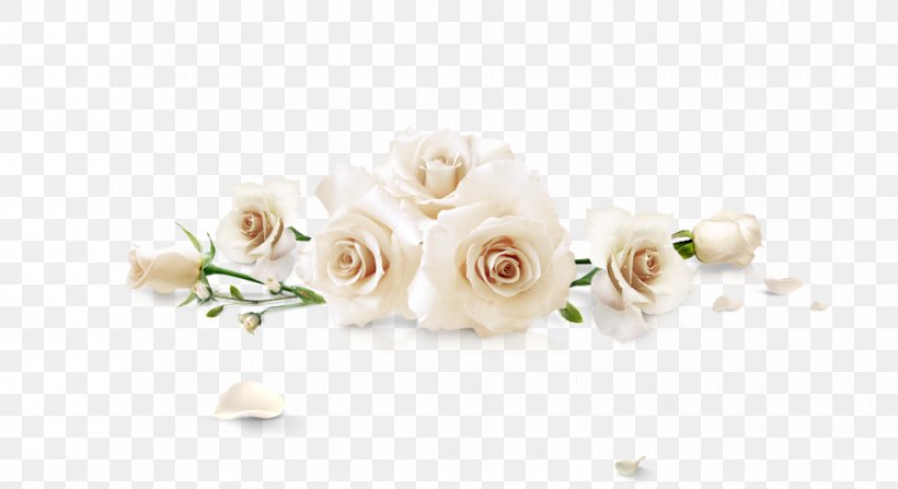 Detail White Flowers Png Nomer 29