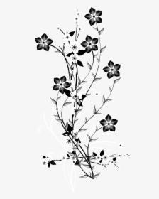Detail White Flowers Transparent Background Nomer 15