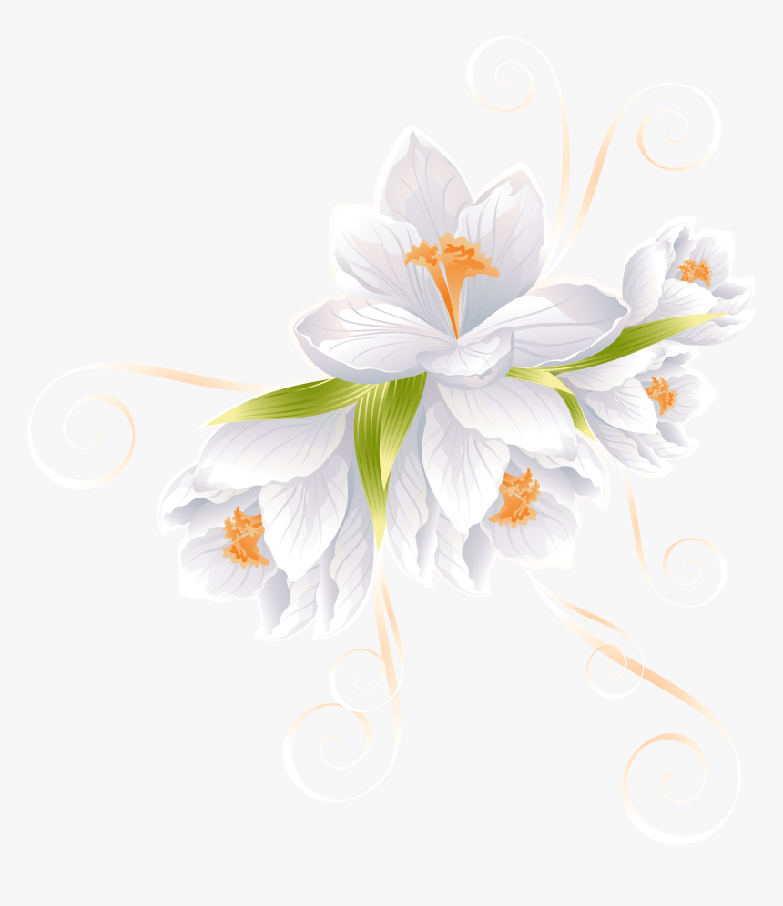 Detail White Flowers Transparent Background Nomer 29